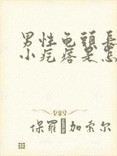 男性龟头长一圈小疙瘩是怎么回事