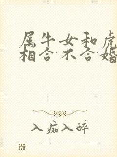 属牛女和虎男属相合不合婚姻封面