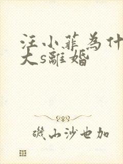 汪小菲为什么和大s离婚