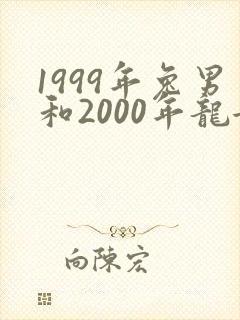 1999年兔男和2000年龙女姻缘封面