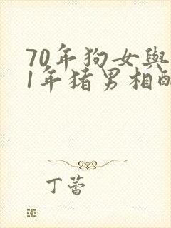 70年狗女与71年猪男相配咋样