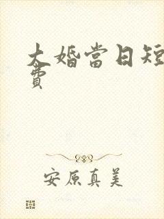 大婚当日短剧免费