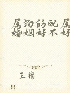 属狗的配属龙的婚姻好不好