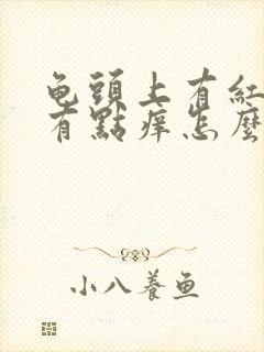 龟头上有红疙瘩有点痒怎么回事封面