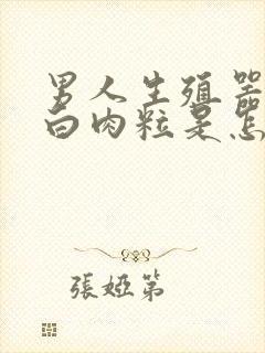 男人生殖器长小白肉粒是怎么回事