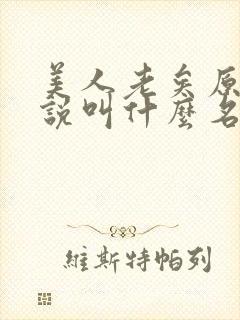 美人老矣原著小说叫什么名字