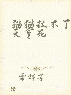 猫猫拉不了尿几天会死封面