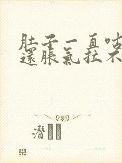 肚子一直咕咕响还胀气拉不出大便