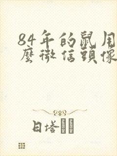 84年的鼠用什么微信头像招财
