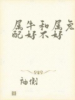 属牛和属兔的婚配好不好封面