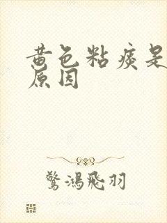 黄色粘痰是什么原因