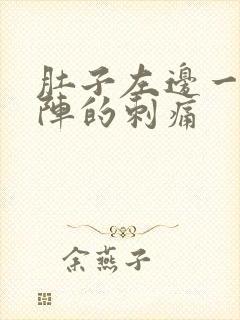 肚子左边一阵一阵的刺痛封面