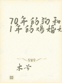 70年的狗和81年的鸡婚姻如何封面