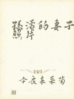 孙涛的妻子李莉照片