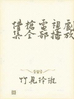 借枪电视剧40集全部播放