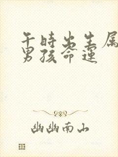 午时出生属鼠的男孩命运