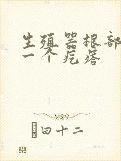 生殖器根部长了一个疙瘩