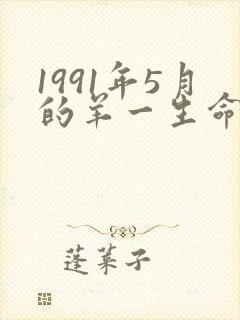 1991年5月的羊一生命运如何