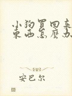 小狗买回来不吃东西怎么办