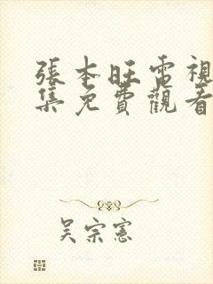 张本旺电视剧全集免费观看