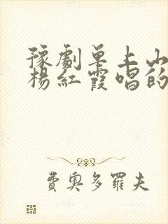 豫剧单上山伴奏杨红霞唱的