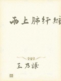 两上肺纤维索条