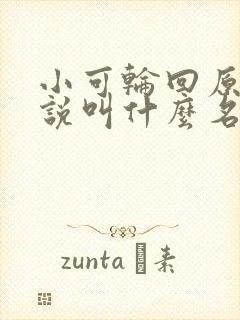 小可轮回原著小说叫什么名字