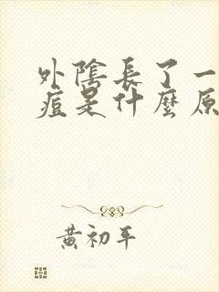 外阴长了一个痘痘是什么原因