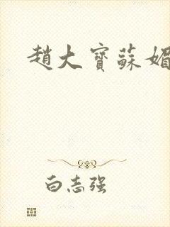 赵大宝苏媚儿媳