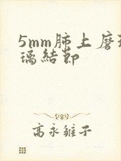 5mm肺上磨玻璃结节