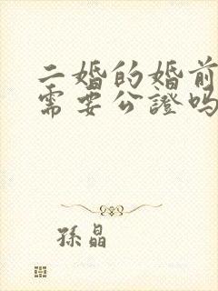 二婚的婚前财产需要公证吗