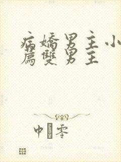 病娇男主小说推荐双男主