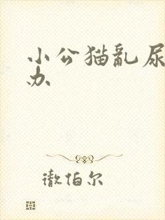 小公猫乱尿怎么办