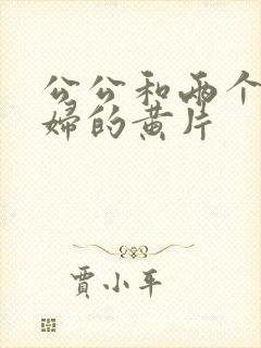 公公和两个儿媳妇的黄片封面