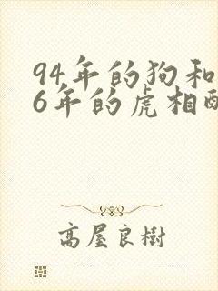 94年的狗和86年的虎相配婚姻如何