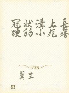 冠状沟上长了硬硬的小疙瘩