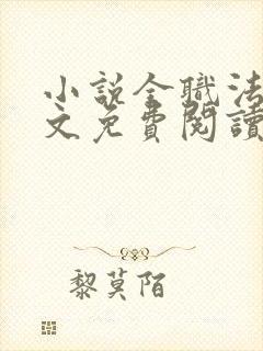 小说全职法师全文免费阅读免费