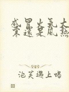 感冒火气大是风寒还是风热封面