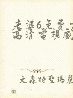 老婆6免费完整高清电视剧