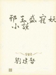 邪王盛宠妖孽妃 小说