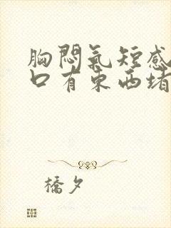 胸闷气短感觉胸口有东西堵着