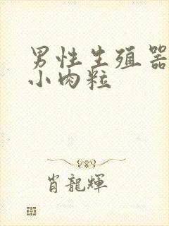 男性生殖器白色小肉粒