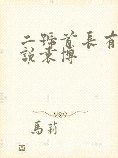 二号首长有声小说袁博