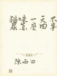 猫咪一天不拉不尿怎么回事