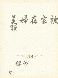 美妇在家被奸小说封面