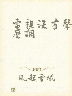 电视没有声音怎么调