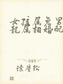 女孩属兔男孩属龙属相婚配吗