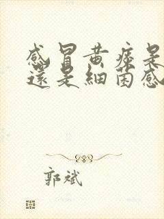 感冒黄痰是病毒还是细菌感染封面