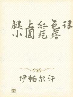 腿上红色很痒的小圆疙瘩封面