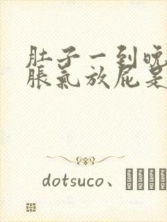 肚子一到晚上就胀气放屁是怎么回事封面